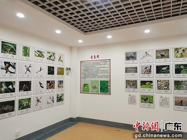 樂昌首家野生鳥類展覽館開放，設(shè)計(jì)建筑面積約170多平米