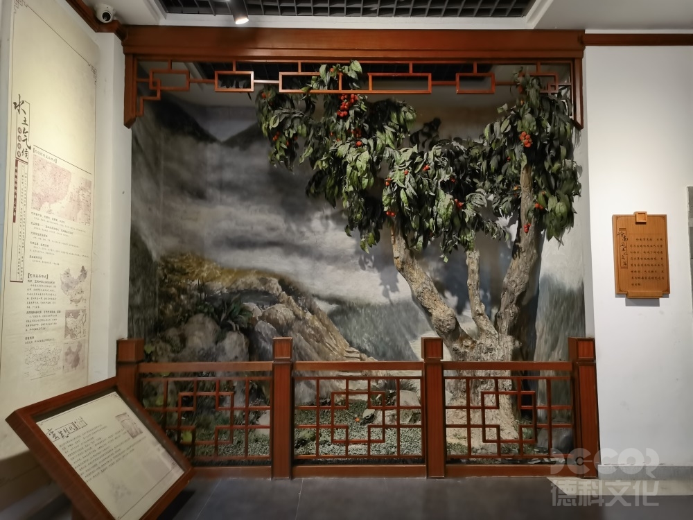 中醫藥博物館