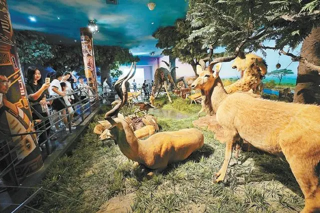 國(guó)家自然博物館新館規(guī)劃20萬(wàn)平方米